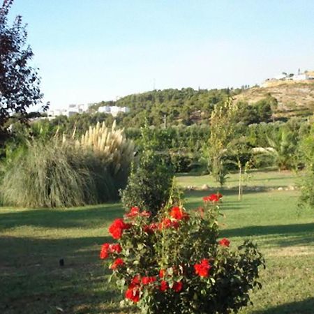 La Piana Di Calena Villa Peschici Luaran gambar